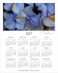 2017 hydrangeas one page calendar